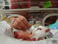 Baby Erik