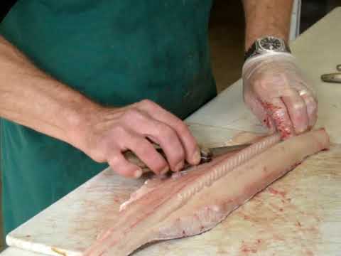 how to remove a y bone from a northern pike