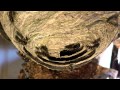 Attaque de gu�pes - &copy; Minuscule.tv