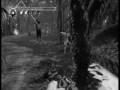 videos de Ninja Gaiden 2 Walkthrough 59# Chapter 14 - Poisoned Blood [1-6]