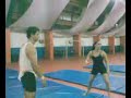 treino bavani