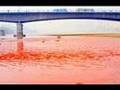 China's Contaminated Products -- Navarro's China Effect