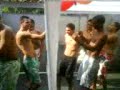 Niver Zagallo 2
