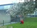 free running