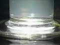 Optical Rotatory Dispersion: Polarized Light and Sucrose Sol