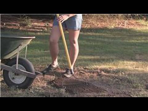 how to treat lm grass