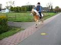 videos de In draf op straat