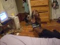 dancin