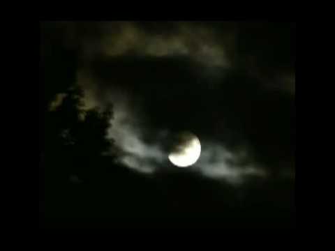 Celu noć te sanjam 0 Celu noć te sanjam