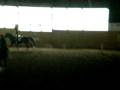 videos de Laura et Snoopy