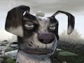 Cookie - Funny Animation Cookie - Funny Animation