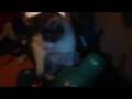 videos de Bebe con la bola verde