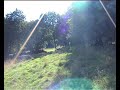 Semi-nude Sheep Herding