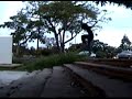 duende switch frontside flip long set