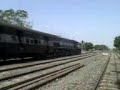WDP 4 Blasting with SHF with late running 1014 !! WDP 4 Blasting with SHF with late running 1014 !!