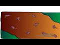 Award winning animation Award winning animation