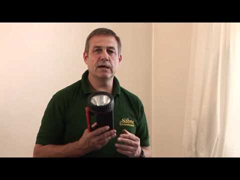 how to get rid wasps