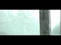 Panasonic DVX100 Color/Widescreen Test