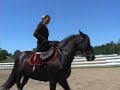 Journée du cheval Canadien 2005