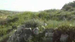 Tracing All that remains of Barfiliyya كل ما تبقى من برفيلية