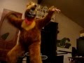 rare wenna bear