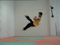 Taekwondo - fly kick