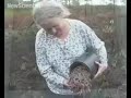 Worm charming explained at last