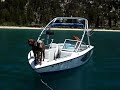 Lake Tahoe - Dogs Lake Tahoe - Dogs