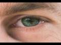 Muscular-Dystrophy-T