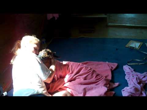 how to treat colic in llamas