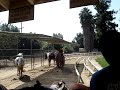 Ethan on a Horse