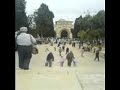 AL AQSA  JERUSALEM PALESTINE ATHAN AZAN