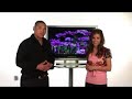BuyTV Review of the Niko 32 inch LCD TV