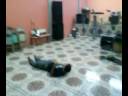 Luis Skate