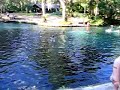 Juniper Springs, Ocala Florida