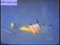 frecce tricolori strage a Ramstein