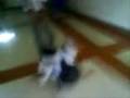 arif vs  fachrul  (edit 2)