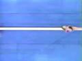 1989 World Gymnastics Championships