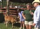 We play Dr. Doolittle at the Fair!