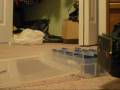 videos de Halo B - How to clean eyes & basic disassembly