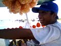 changopollo,el,en