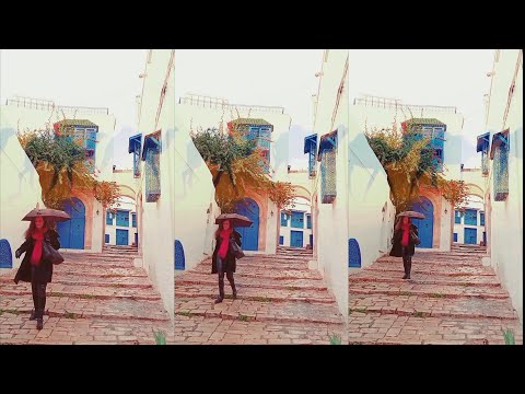 'D�dales dall�s � Sidi Bou Sa�d' avec Nicole Coppey