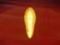 Sun God