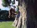 Parkour de un baiat din galati Parkour de un baiat din galati