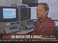 SPERM WHALE ATTACKS FISHERMEN KILLS 1 SPERM WHALE ATTACKS FISHERMEN KILLS 1