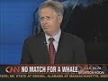 SPERM WHALE ATTACKS FISHERMEN KILLS 1