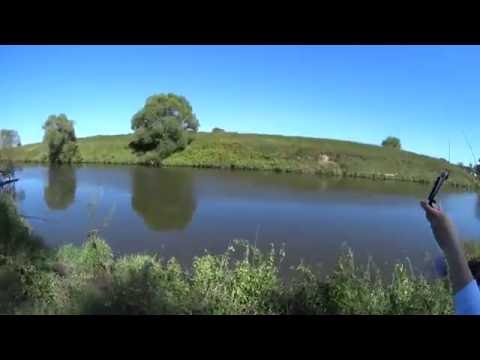 отдых на пахре рыбалка отдых сверху пахре рыбалка