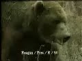 Historical Campaign Ad: Bear (Reagan-Bush '84)