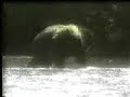 Historical Campaign Ad: Bear (Reagan-Bush \