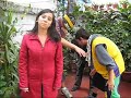 chascarros en la creación de noticiero de ciudadanía
